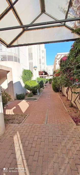 1ª Linea Del Mar 2 Habitaciones 2 Banos, Parking Subterraneo Incluido, Mascotas Ел Кампело Екстериор снимка